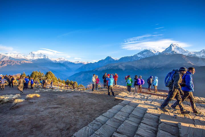 Ghorepani Poon Hill Treks: 6 Nights /7 days  image