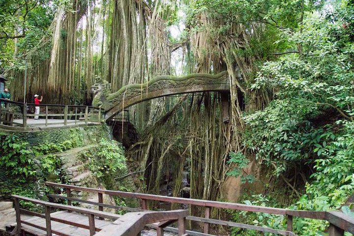 Monkey Forest Ubud Half day Tour image