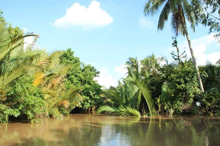 Private Mekong Delta Tour Including biking on Ben Tre - The Original Mekong image