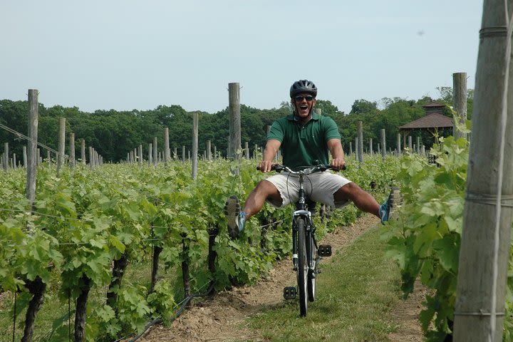 Mattituck Bike Wine Country and Fruit Orchard Tour image