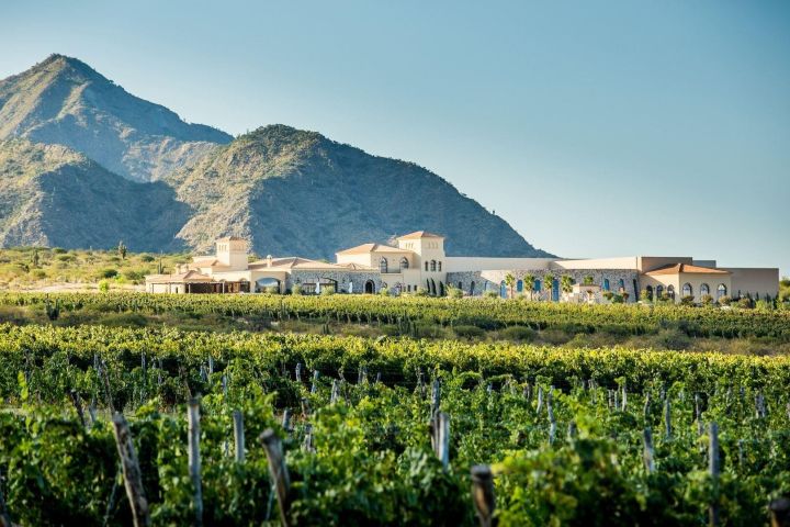 Cafayate Wine Trail Excursion image