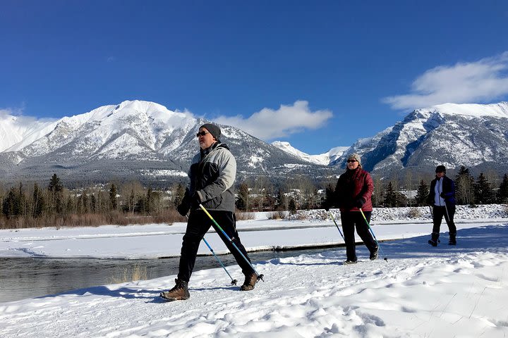 Quick-Start Nordic Walking Tour image