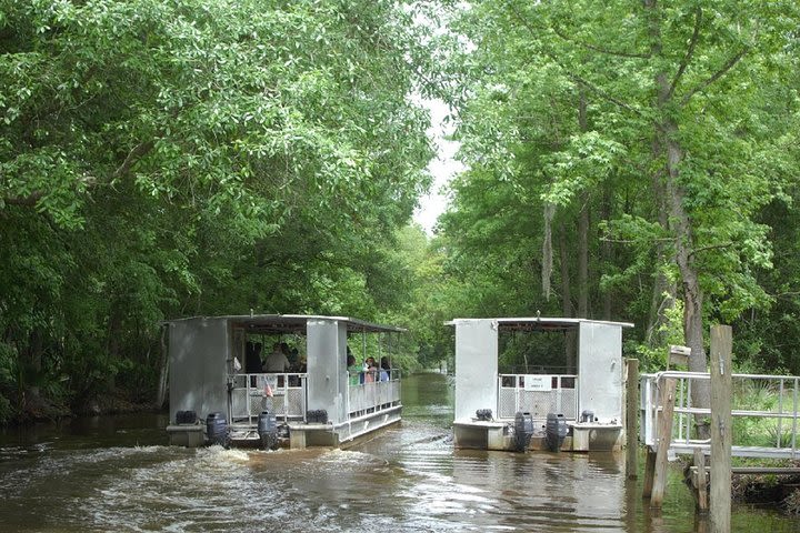 90-Minute Jean Lafitte Swamp and Bayou Tour image