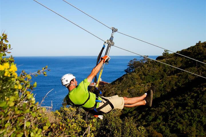 Catalina Island Day Trip from Los Angeles with Zipline Adventure image