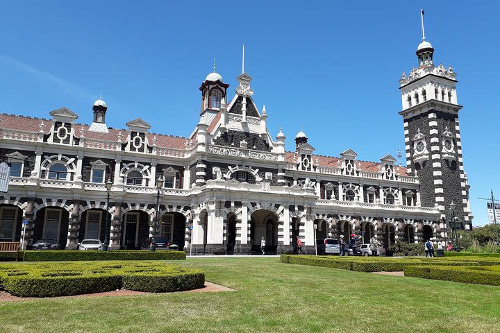 Private Guided Tour of Dunedin City Heritage and Unique Wildlife and Scenery image