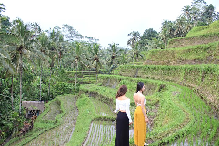 Lempuyang Temple Instagram Private Tour - Gates of Heaven image