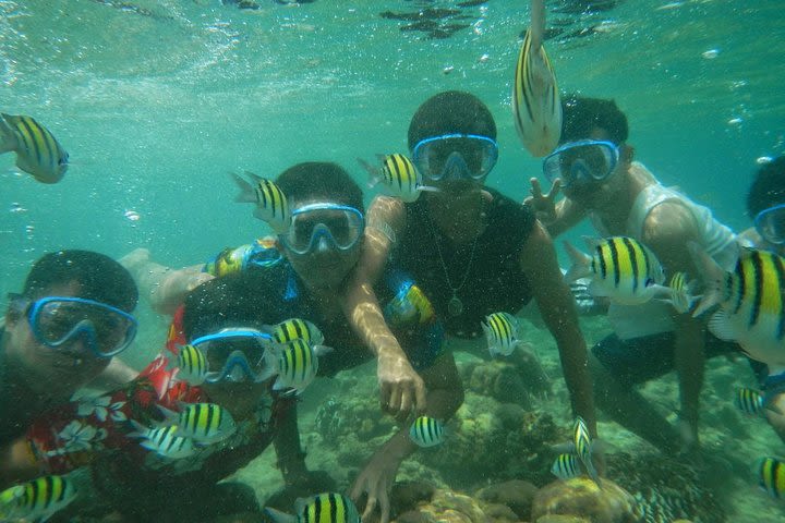 Bali Best SNORKELING at BLUE LAGOON and EAST BALI TOURS  image