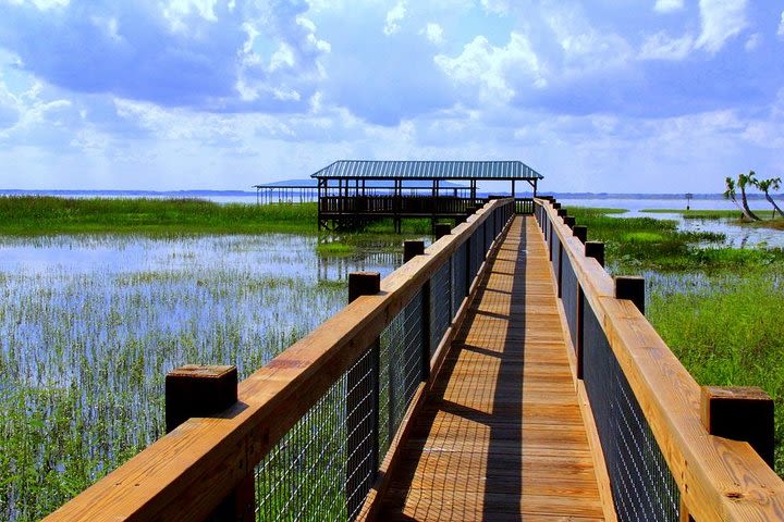 Wild Florida Adventure Package Tour with Transportation image