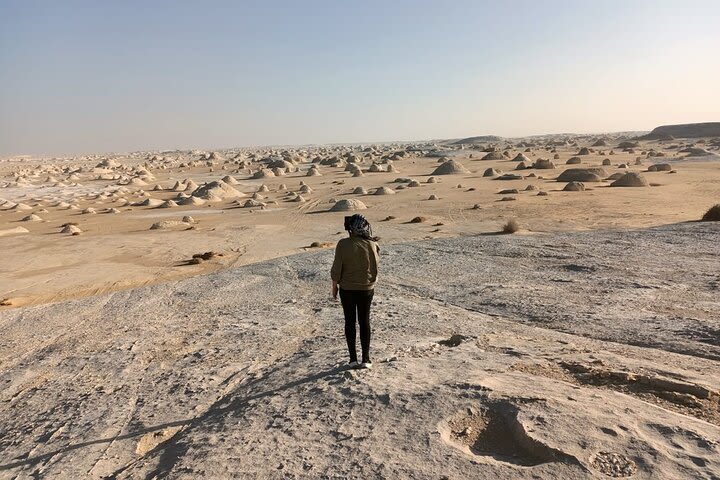 Cairo: 2-Day Bahariya Oasis Tour & White and Black Deserts camping image