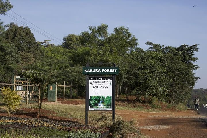 Urban Forest Tour in Nairobi image