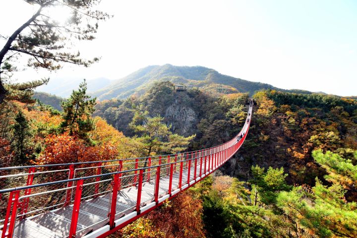 Seoul DMZ Tour with 3rd Tunnel and Red Suspension Bridge image