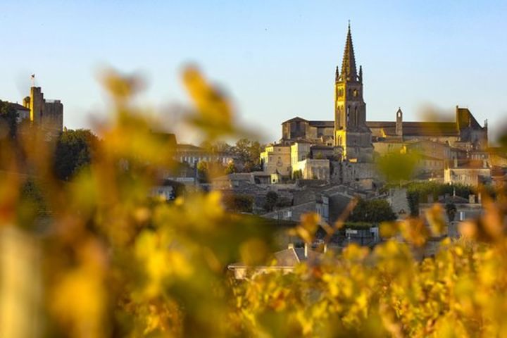 Saint Emilion Wine Tour Full Day Trip From Bordeaux (shared) image