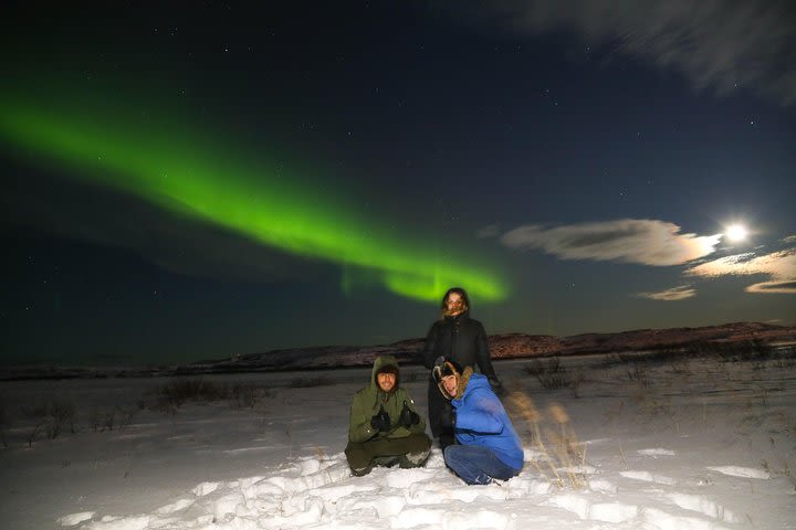 3 Days Northern Lights in Murmansk (Twice more likely to see them) image