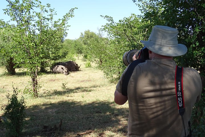  Half Day Nature Walk & Safari Experience including Rhino encounter image