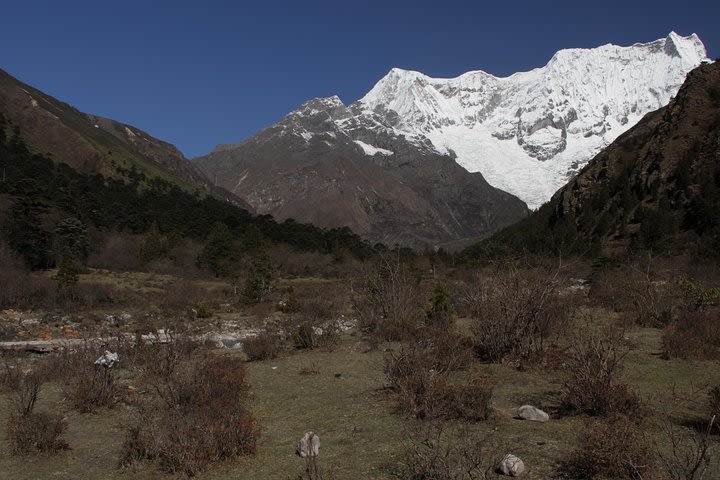 Off the beaten trail Laya Gasa trek 17days  image