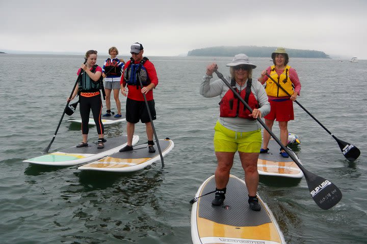 Stand Up Paddleboard Tour in Casco Bay image