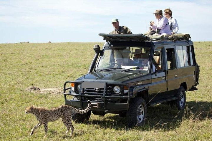 3-Day Private Jeep Safari Tour in Maasai Mara from Nairobi image