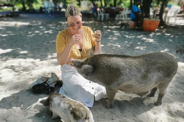 Pig Island Day Trip from Koh Samui by Speedboat image