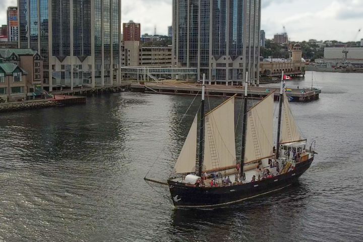 Tall Ship Silva Cruise - Family-friendly (Halifax, CA) image
