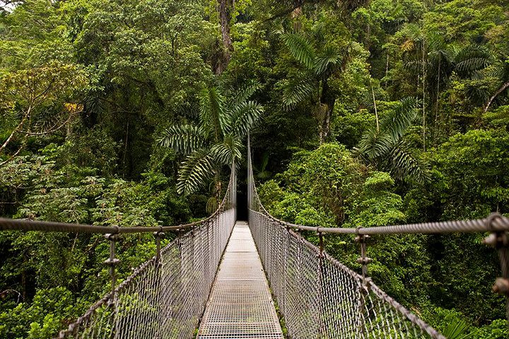 3-in-1 Arenal Combo Tour: Hanging Bridges, La Fortuna Waterfall & Volcano Hike image