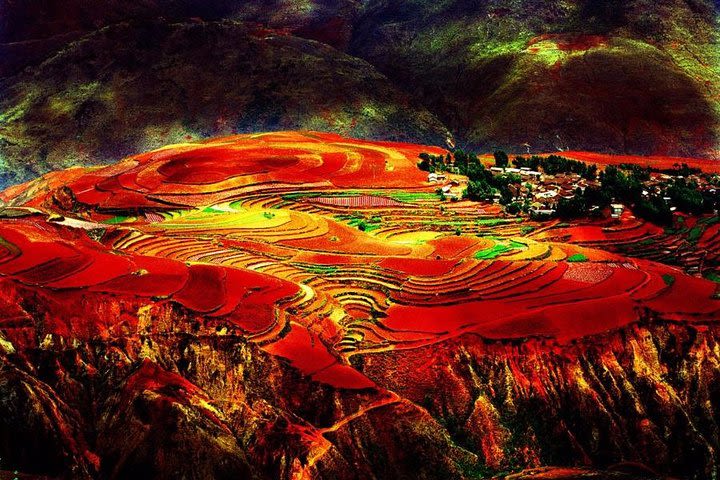 2-Day Kunming Private Tour: Stone Forest and Dongchuan Red Land image