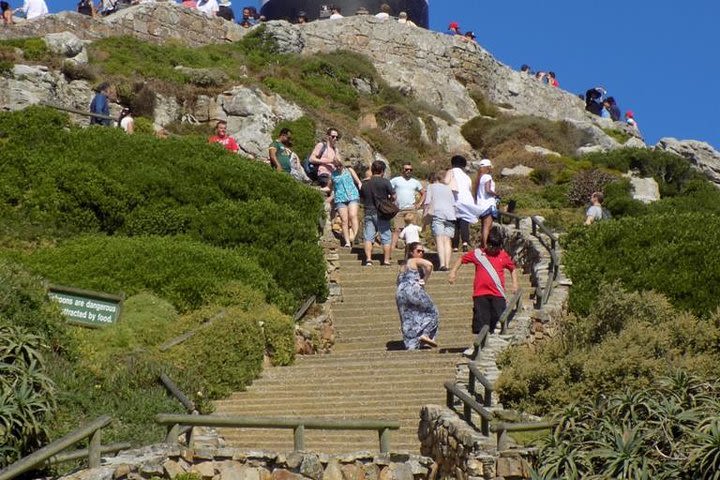 Cape Peninsula, Boulders and Kirstenbosch Botanical Garden Tour image