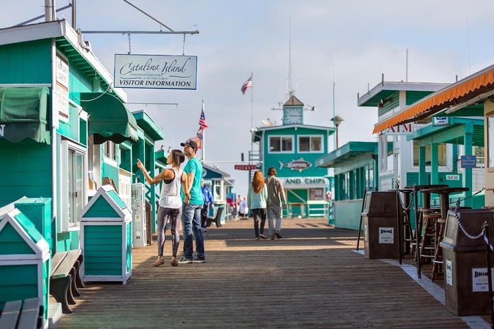 Catalina Island Day Trip from Los Angeles with Undersea Adventure image