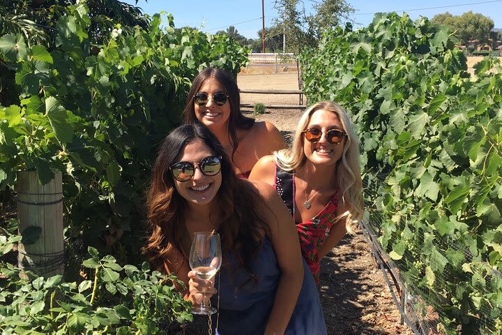 Private All-Inclusive Wine Tour of Santa Barbara Wine Country image