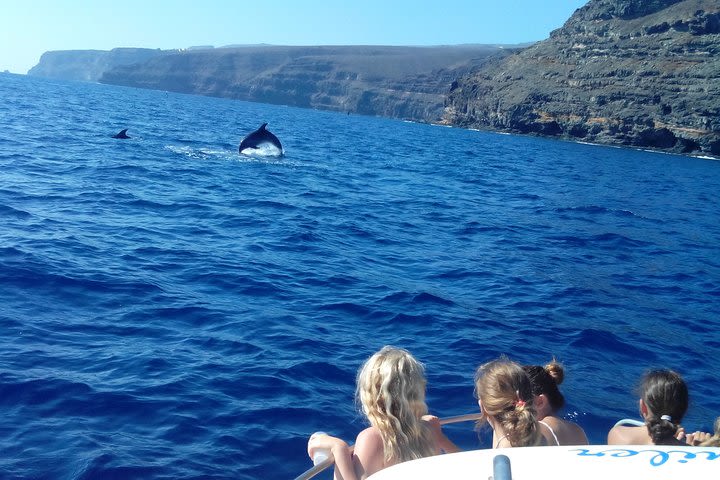 Family outing in the south of La Gomera image