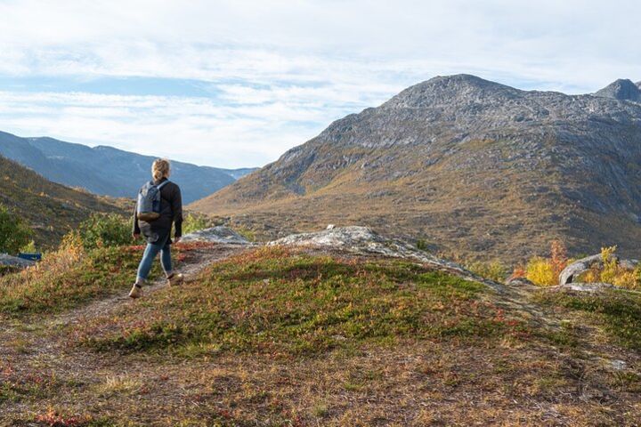 Arctic Roadtrip: Sommarøy with scenic picnic Ⓥ | Small group 8 max | Sightseeing image