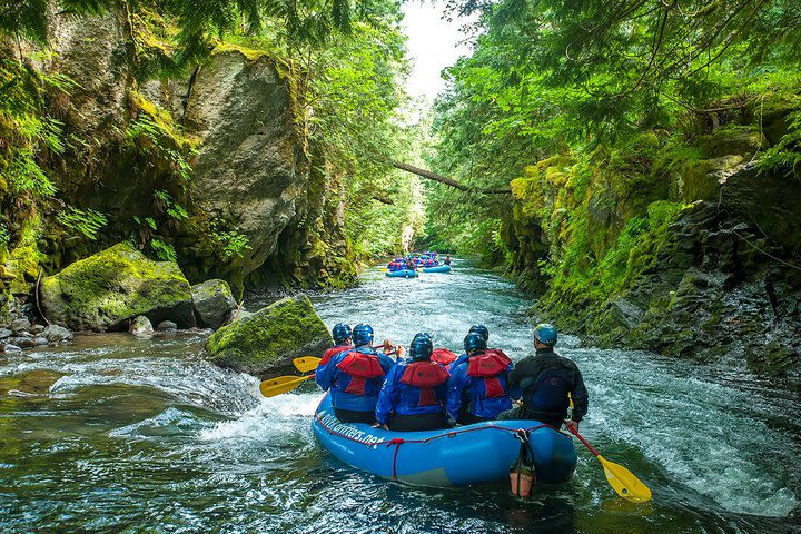 White Salmon River Rafting Half-Day Trip image