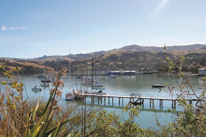 Akaroa Shore Excursion: Banks Peninsula, Christchurch City Tour and Willowbank Wildlife Reserve image