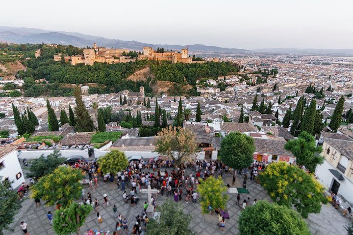 Alhambra and Albaicin Private Tour with official Guide image