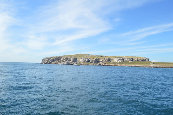 Islas Marietas Tour On Catamaran  image