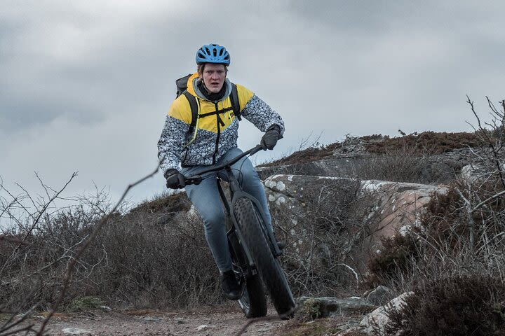 Fatbike Beach Tour image