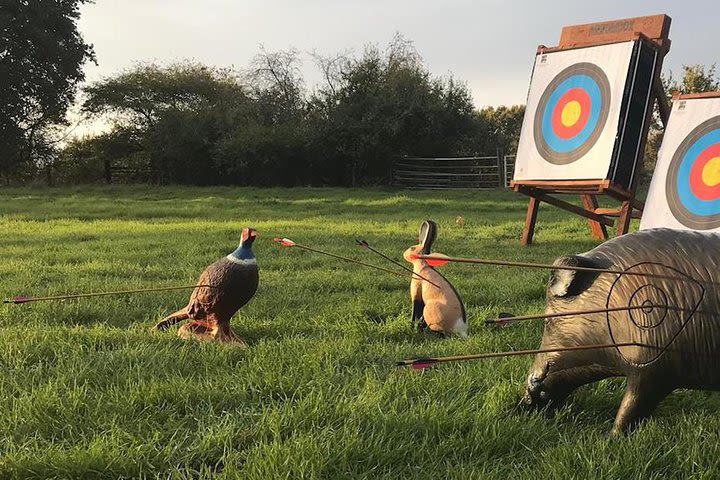 Target Archery Session image