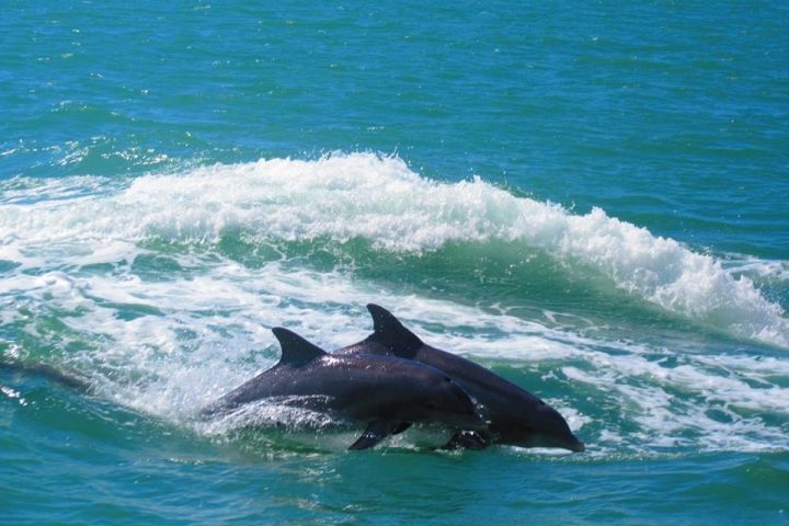 Clearwater Beach  image