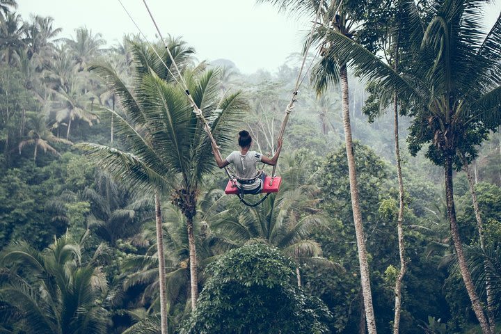 Rafting - Bali Swing - Monkey Forest and Ubud Market image