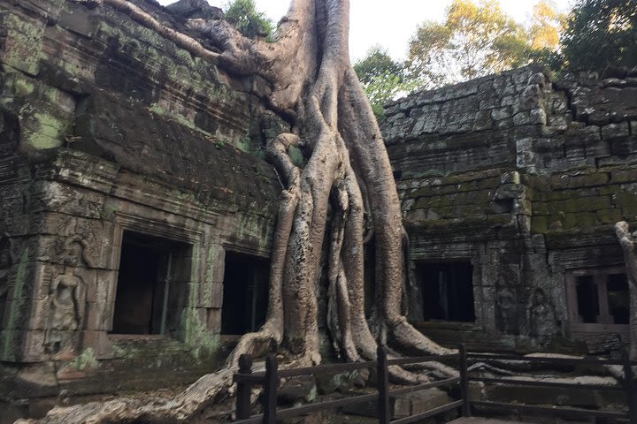 Siem Reap Angkor Sunrise by private motorcycle image