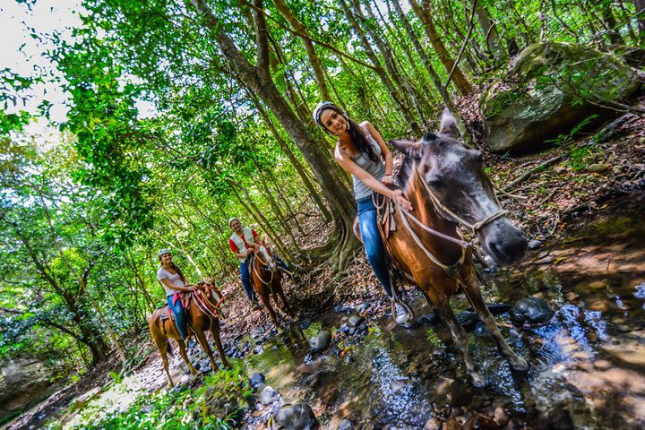 8-Day Best of Northwest Costa Rica from San Jose: Arenal Volcano National Park, Alajuela and Guanacaste image