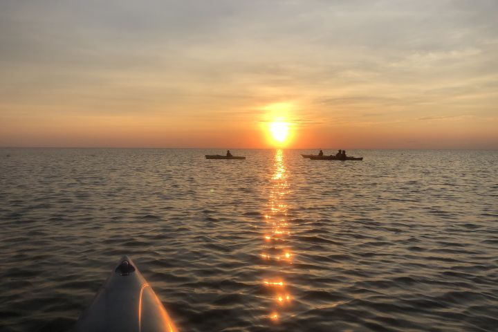 Eastern Shore National Wildlife Refuge Kayak Tour image