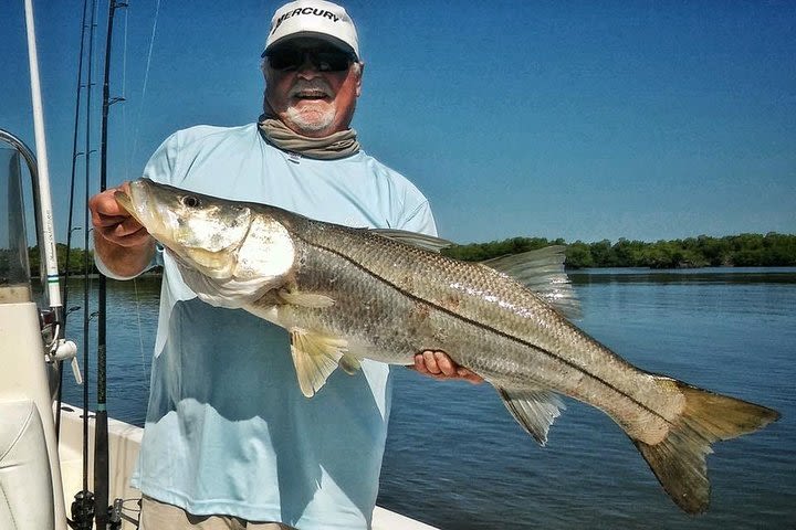 Tampa Bay Inshore Fishing Charters image