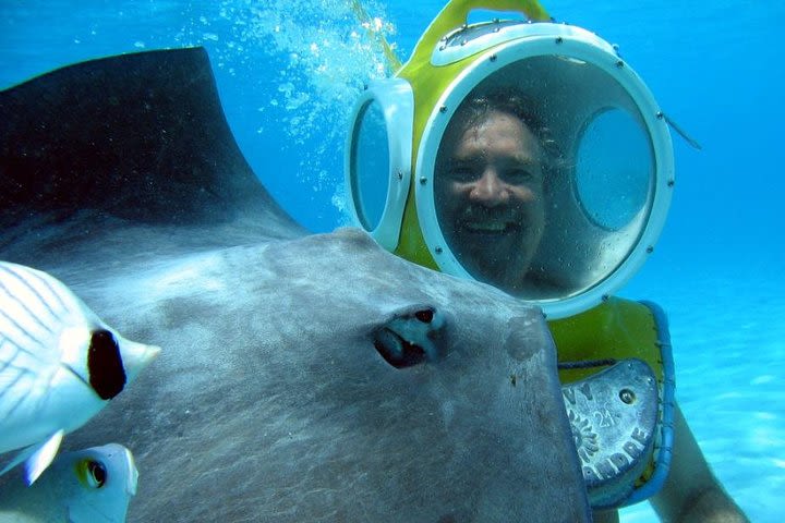 Walking Under the Sea in Moorea image