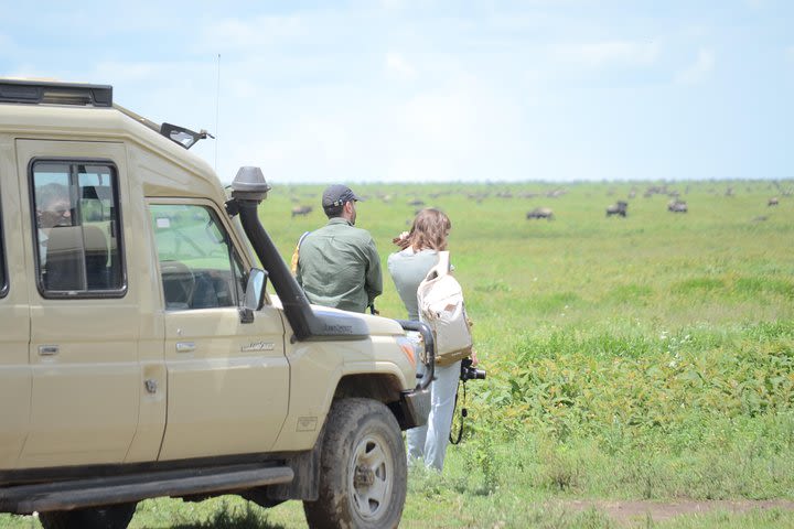 3 Days private safari Tarangire ,Ngorongroro crater &Manyara image