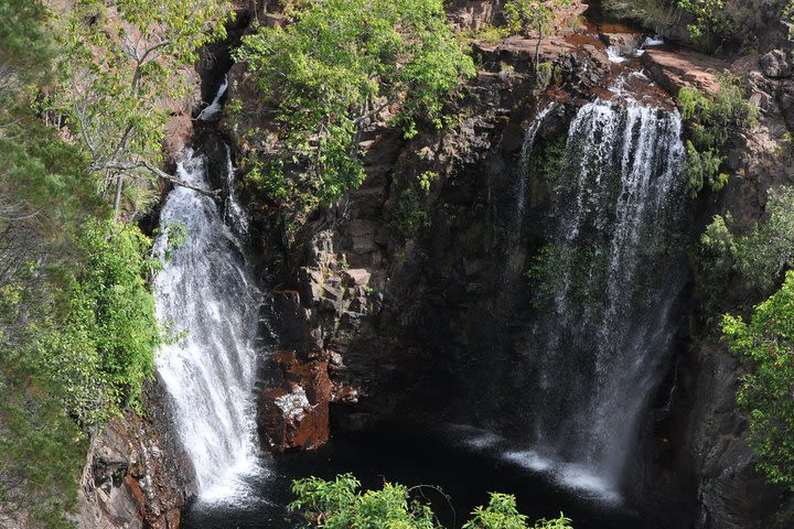 Litchfield and Jumping Crocodiles Full Day Trip from Darwin image