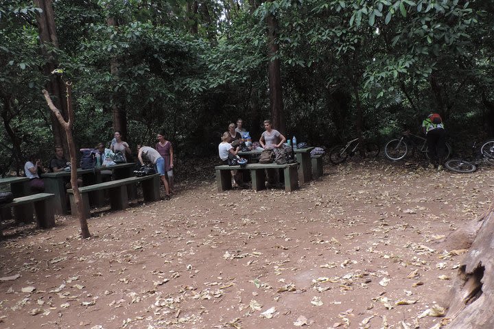 Rau Forest Bike tour image