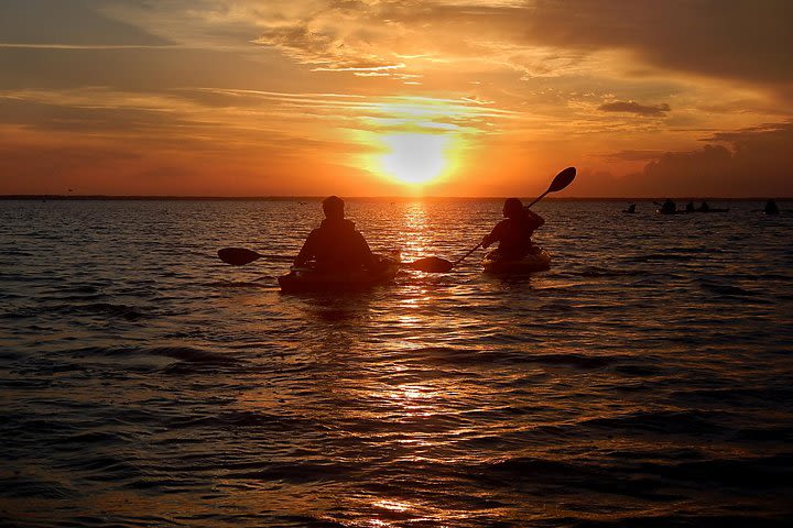 Sunset Bioluminescence Tour image