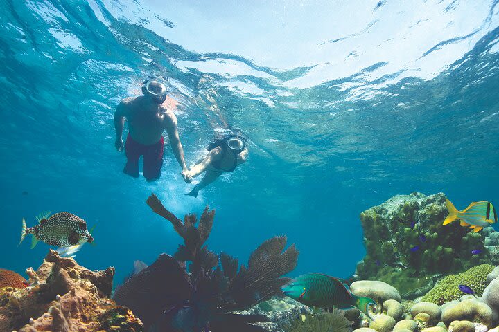 Double-Dip: Two Stop Snorkel Adventure in Key West image