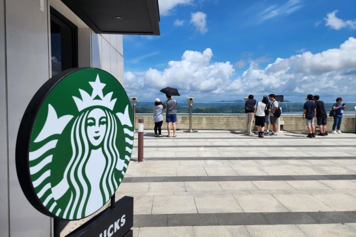 DMZ Observatory & Suspension Bridge Tour image