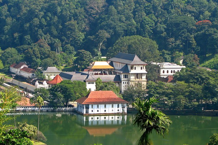 The Last Kingdom Private Day Tour in Kandy image